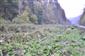 lokalita